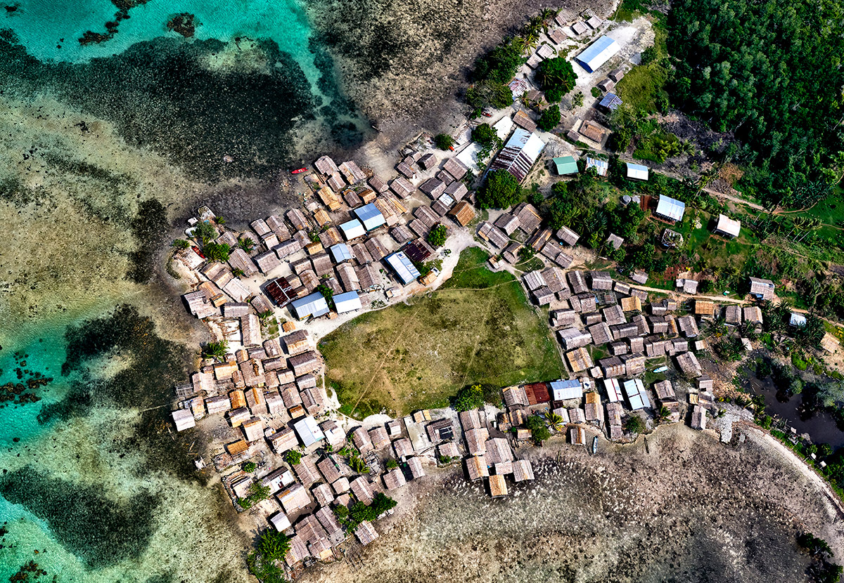Brasileira vence competição da ONU de fotos da vida marinha